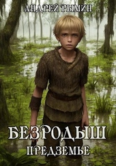 Обложка книги Безродыш. Предземье