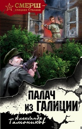 Обложка книги Палач из Галиции