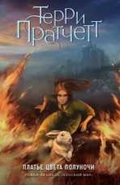Обложка книги Платье цвета полуночи