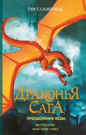 Обложка книги Преодоление Беды