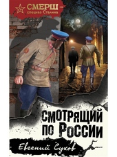 Обложка книги Смотрящий по России