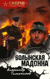 Обложка книги Волынская мадонна