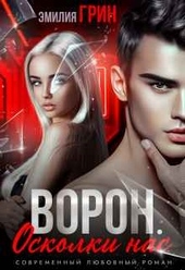 Обложка книги Ворон. Осколки нас