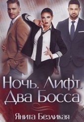 Обложка книги Ночь. Лифт. Два Босса (СИ)
