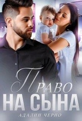 Обложка книги Право на сына