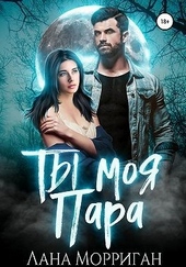 Обложка книги Ты моя пара!