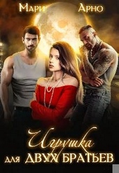 Обложка книги Игрушка для двух братьев