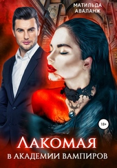Обложка книги Лакомая в Академии вампиров