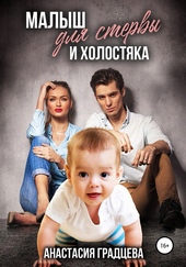 Обложка книги Малыш для стервы и холостяка
