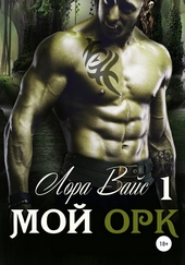 Обложка книги Мой орк