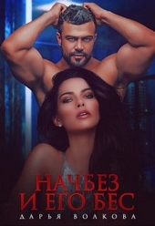 Обложка книги Начбез и его Бес