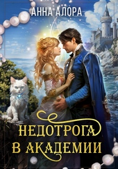 Обложка книги Недотрога в Академии-2