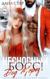 Обложка книги Несносный босс Дед Мороз (СИ)