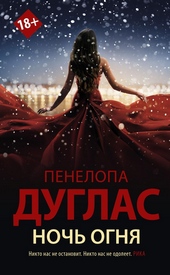 Обложка книги Ночь Огня