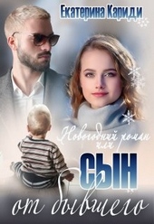 Обложка книги Новогодний роман, или Сын от бывшего