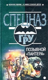 Обложка книги Позывной «Пантера»