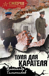 Обложка книги Пуля для карателя