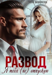 Обложка книги Развод. Я тебя (не) отпускаю