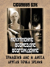 Обложка книги Айс и Ангел