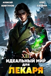 Обложка книги Идеальный мир для Лекаря 13 (СИ)