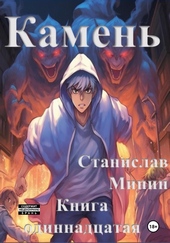 Обложка книги Камень. Книга одиннадцатая