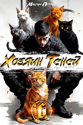 Обложка книги Хозяин Теней 6