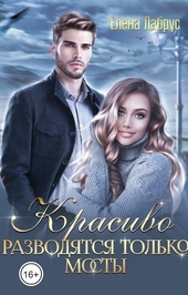 Обложка книги Красиво разводятся только мосты