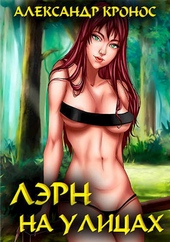 Обложка книги Лэрн. На улицах (СИ)