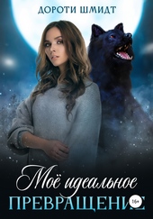 Обложка книги Моё идеальное превращение