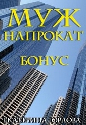 Обложка книги Муж напрокат. Бонус