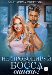 Обложка книги Не провоцируй босса, опасно!