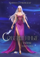 Обложка книги Совершенные. Тайны Пантеона