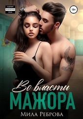 Обложка книги Во власти мажора