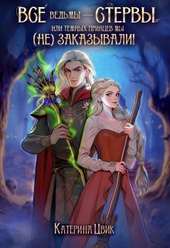 Обложка книги Все ведьмы — стервы, или Темных принцев мы (не) заказывали