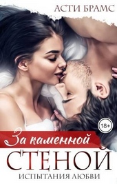 Обложка книги За каменной стеной. Испытания любви