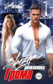 Обложка книги Звезда полковника Грома