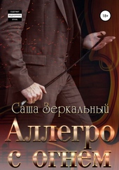 Обложка книги Аллегро с огнем