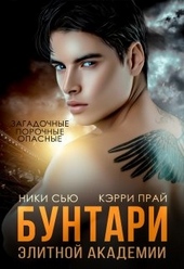 Обложка книги Бунтари элитной академии