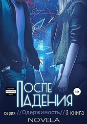 Обложка книги После падения