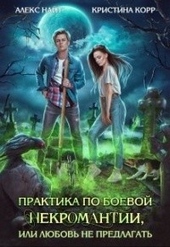 Обложка книги Практика по боевой некромантии, или Любовь не предлагать