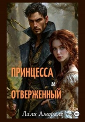 Обложка книги Принцесса и отверженный
