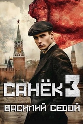 Обложка книги Санек 3
