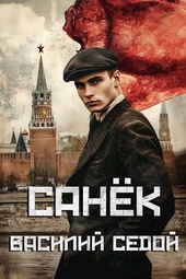 Обложка книги Санек (СИ)