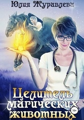 Обложка книги Целитель магических животных