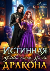 Обложка книги Истинная проблема для дракона