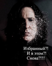Обложка книги Избранный?! И в этом?! Снова?!!! (СИ)