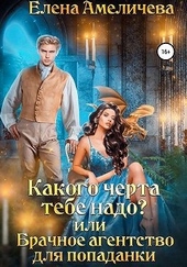 Обложка книги Какого черта тебе надо? или Брачное агентство для попаданки