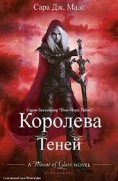 Обложка книги Королева теней (ЛП)