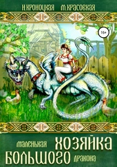Обложка книги Маленькая хозяйка большого дракона