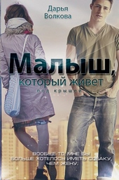 Обложка книги Малыш, который живет под крышей (СИ)